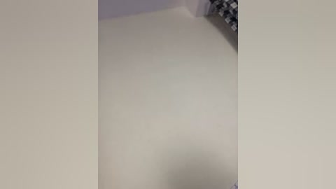 alissalexx free recording from 2025-10-10 16:40:00