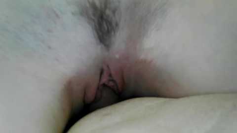 sexyfoxy04 free recording from 2025-12-05 01:41:00