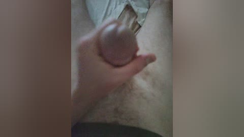 super_couple free recording from 2026-04-25 01:12:00