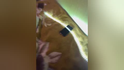 tuya2 free recording from 2025-10-10 14:15:00