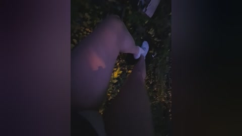 bielka_4 free recording from 2025-10-11 15:04:00