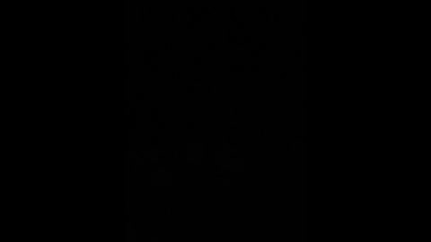 sallyeleins free recording from 2025-10-11 02:47:00