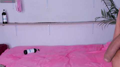 3loverlive1 free recording from 2025-10-12 20:21:00