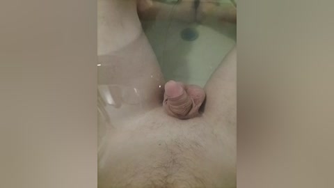 alexander88_1 free recording from 2026-04-14 02:42:00