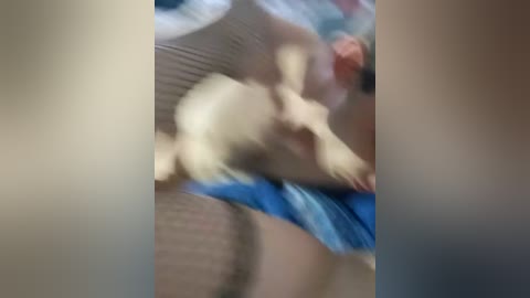 dimasexiva free recording from 2025-10-14 05:56:00