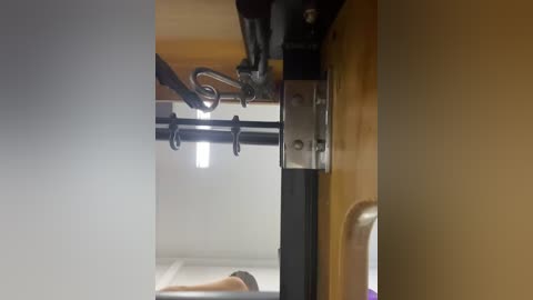 sallyeleins free recording from 2025-10-16 01:33:00