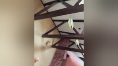 3hotandyoung3 free recording from 2025-10-17 12:57:00