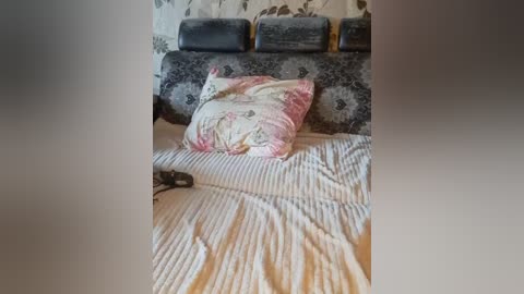 cat_bars69 free recording from 2025-10-18 10:28:00