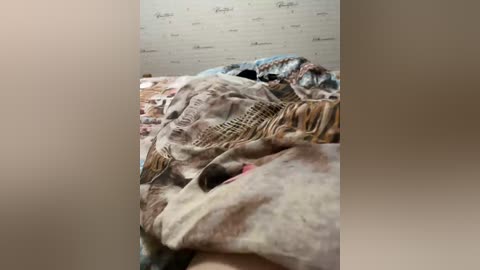 devochka1010 free recording from 