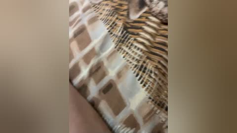 devochka1010 free recording from 2025-10-18 16:03:00