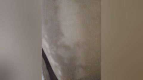 promes1k19922 free recording from 2026-04-29 00:21:00