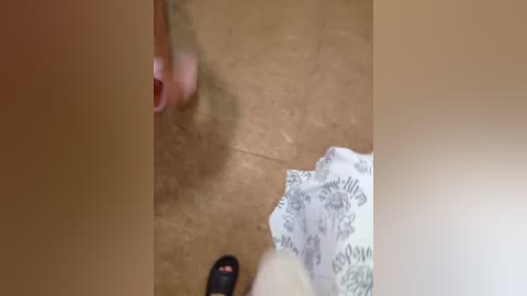 di_quodnone free recording from 2025-10-19 02:03:00