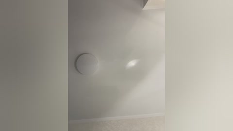 nicol free recording from 2025-10-19 11:51:00