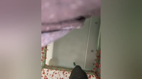 anitashine free recording from 