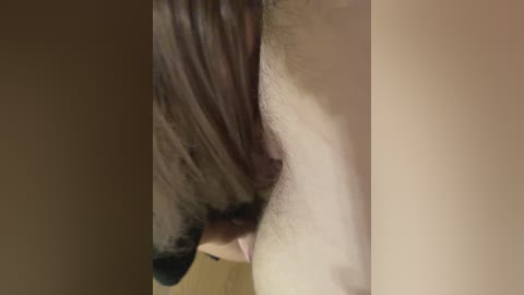 chanel77777 free recording from 