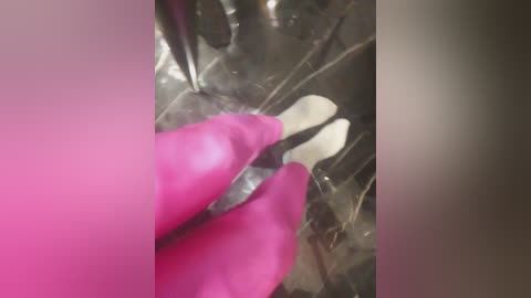 tilytily free recording from 2025-10-25 15:49:00