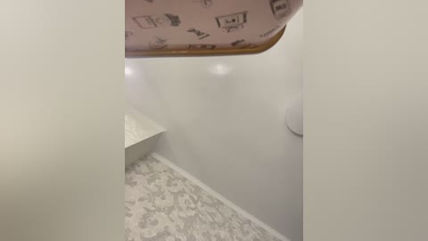 nicol free recording from 2025-10-26 11:29:00