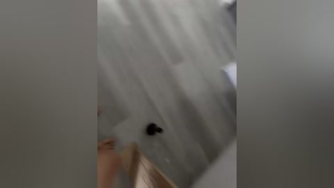 focusw free recording from 2026-04-14 02:21:00