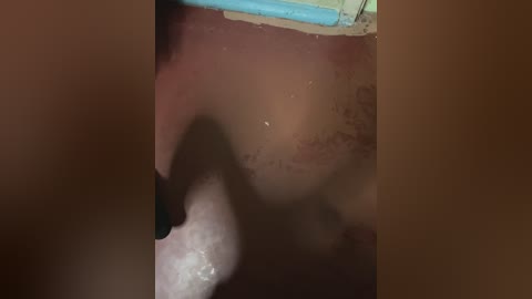 fregidaaa free recording from 