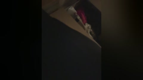 tvoyasamka77 free recording from 2025-10-30 19:29:00