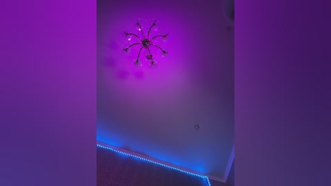 adel9 free recording from 2025-10-31 15:47:00