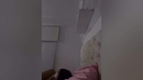 sallyeleins free recording from 2025-10-31 05:45:00