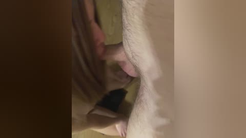 chanel77777 free recording from 