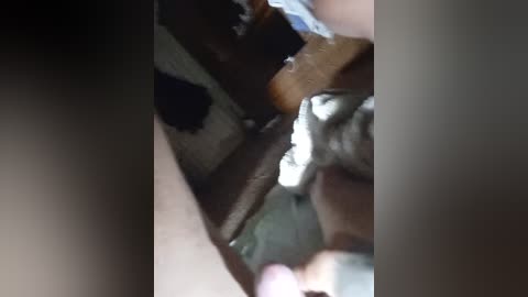 di_quodnone free recording from 2025-11-02 01:33:00