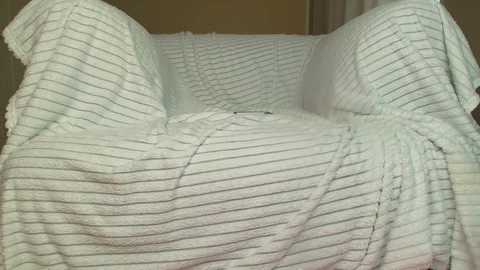 squikt free recording from 2025-11-02 07:06:00