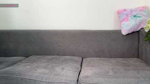 flyingdutchmana free recording from 2025-11-03 06:21:00