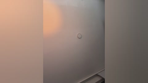 sallyeleins free recording from 2025-11-08 02:02:00