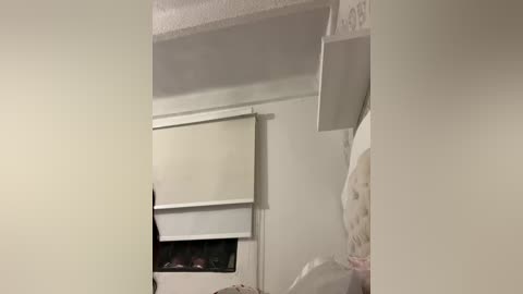 sallyeleins free recording from 2025-11-09 02:16:00