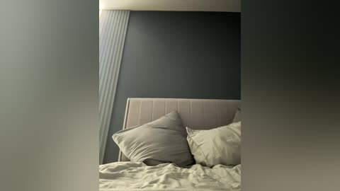 _molly_ free recording from 2025-11-10 11:31:00