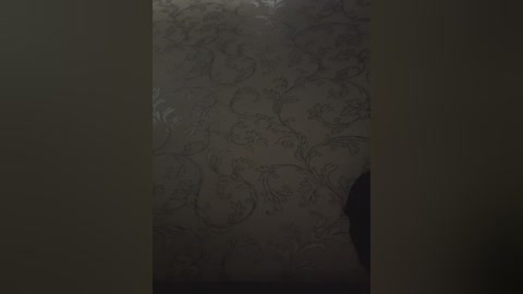 cherrybaby_1 free recording from 2025-11-11 23:00:00