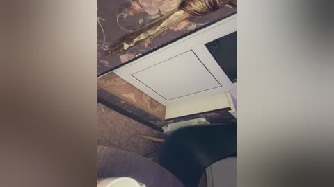 mary_assss free recording from 2026-04-05 01:47:00