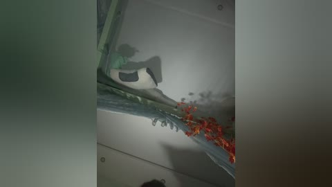 anitashine free recording from 2025-11-12 04:56:00