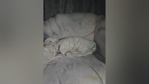 kelseyy free recording from 2025-11-13 17:50:00