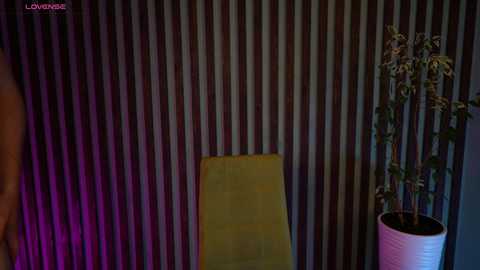 sochnogirls free recording from 2026-04-17 03:15:00