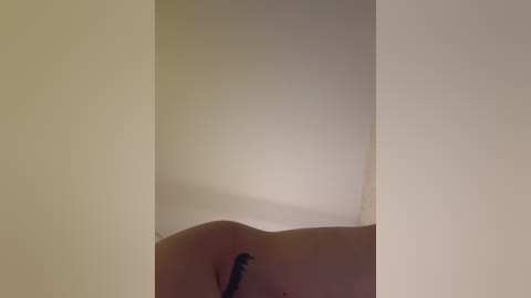 _maybebaby_ free recording from 2025-11-14 14:39:00