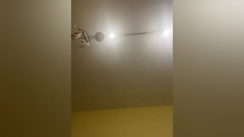 lisana1 free recording from 2025-11-15 00:20:00