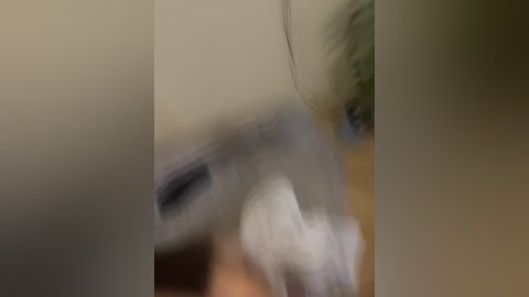 lisana1 free recording from 2025-11-15 00:42:00