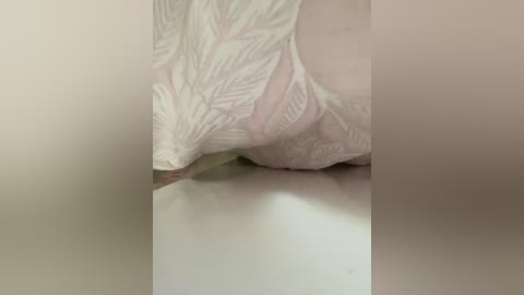 sallyeleins free recording from 2025-11-15 19:13:00