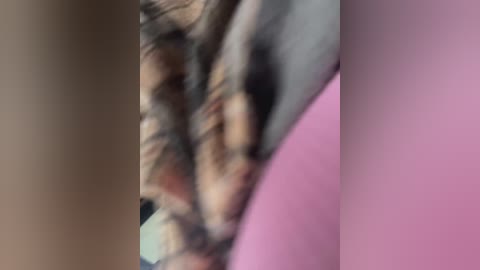 _euphoria_ free recording from 2025-11-16 12:27:00