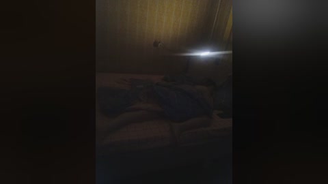 lyda27081 free recording from 2025-11-16 15:49:00