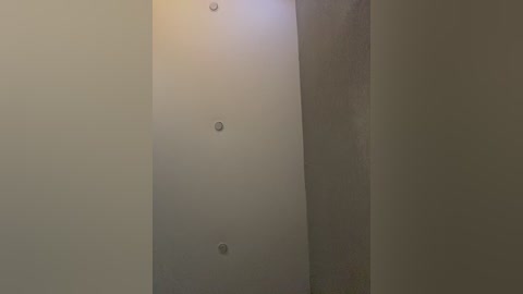 nosikk free recording from 2025-11-16 10:09:00