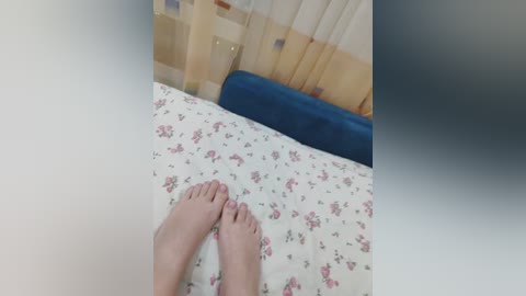 angelia22 free recording from 2025-11-17 14:33:00