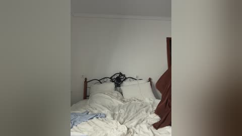 evelonelfi free recording from 2025-11-17 22:33:00