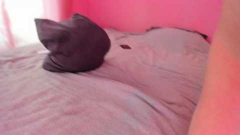 couple_tats free recording from 2025-12-05 01:41:00