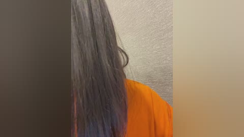 nosikk free recording from 2025-11-18 10:27:00