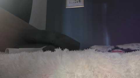 _miray_ free recording from 2025-11-19 10:48:00